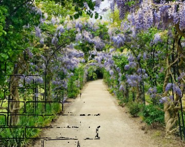jardín con un camino