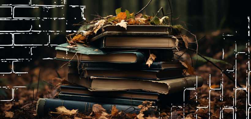 libros encima de otros en un bosque