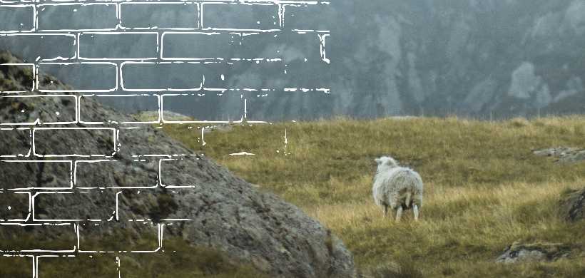 una oveja camindo por montañas