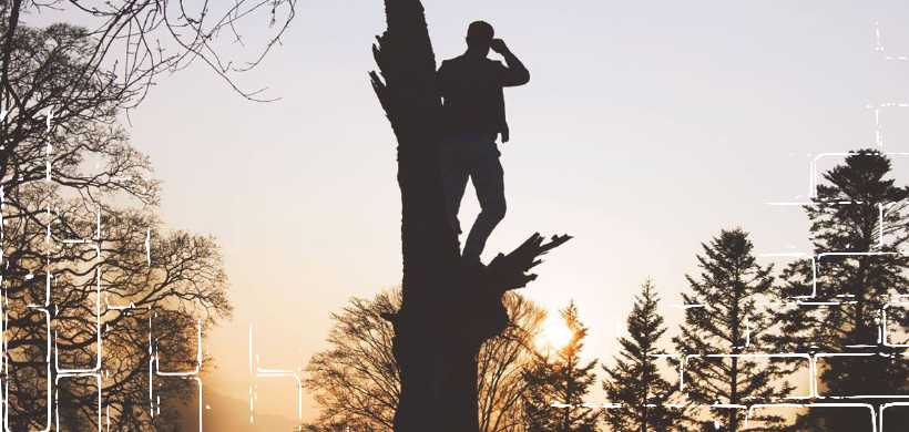 una silueta de un hombre trepado en un árbol