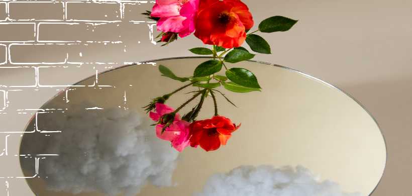 el reflejo de una rosa en un espejo
